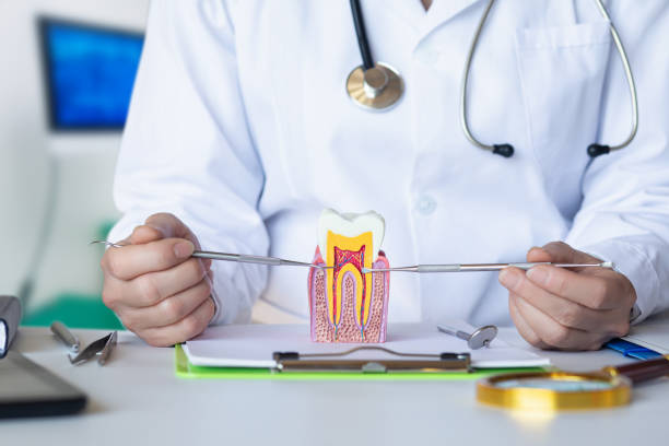 Best Emergency Root Canal Treatment in Great Falls Crossing, VA